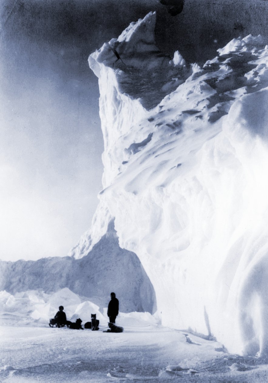 Hundehold hviler under Terra Nova Ekspeditionen, 1910 af Herbert Ponting