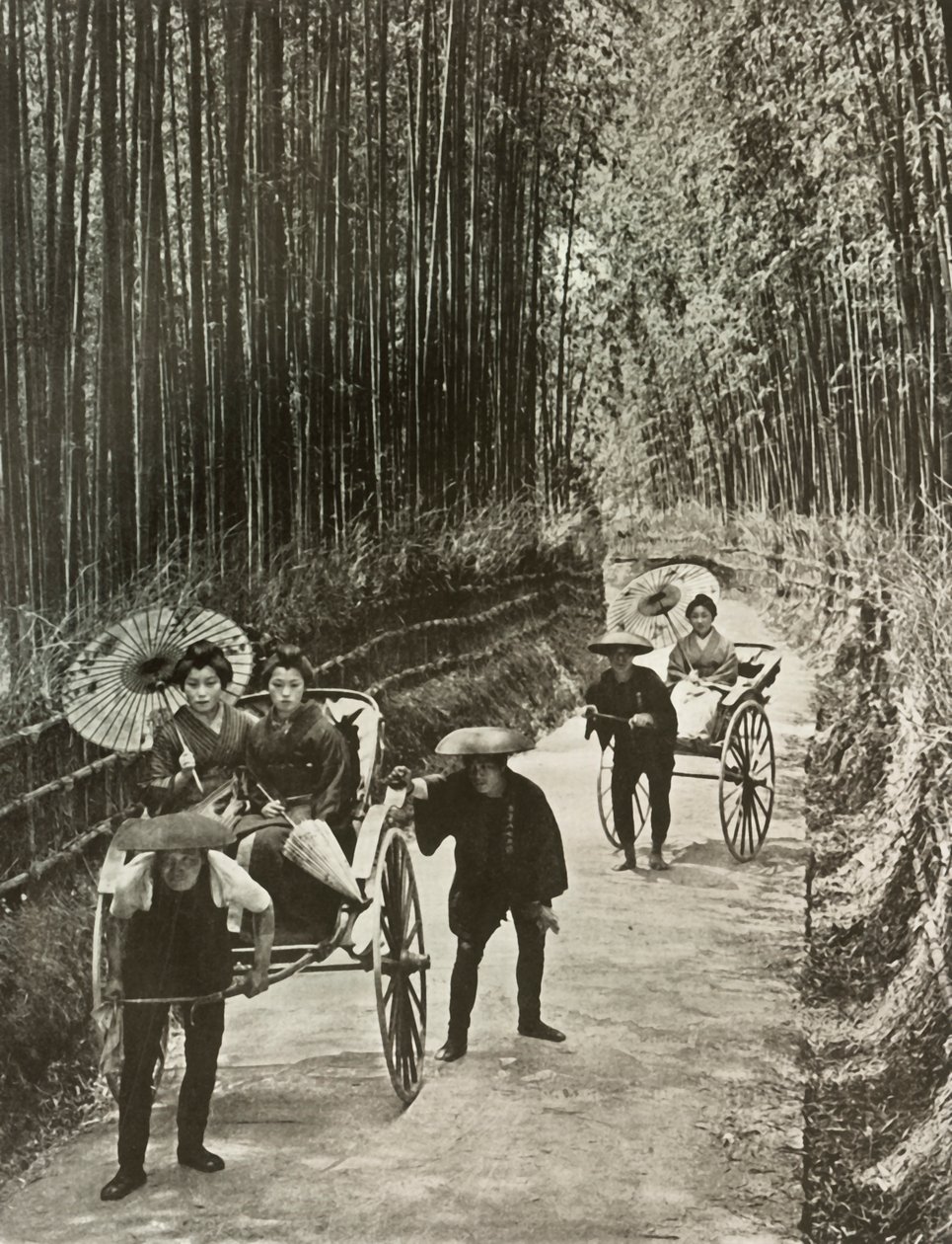 A Bamboo Avenue i Kyoto, 1910. af Herbert Ponting