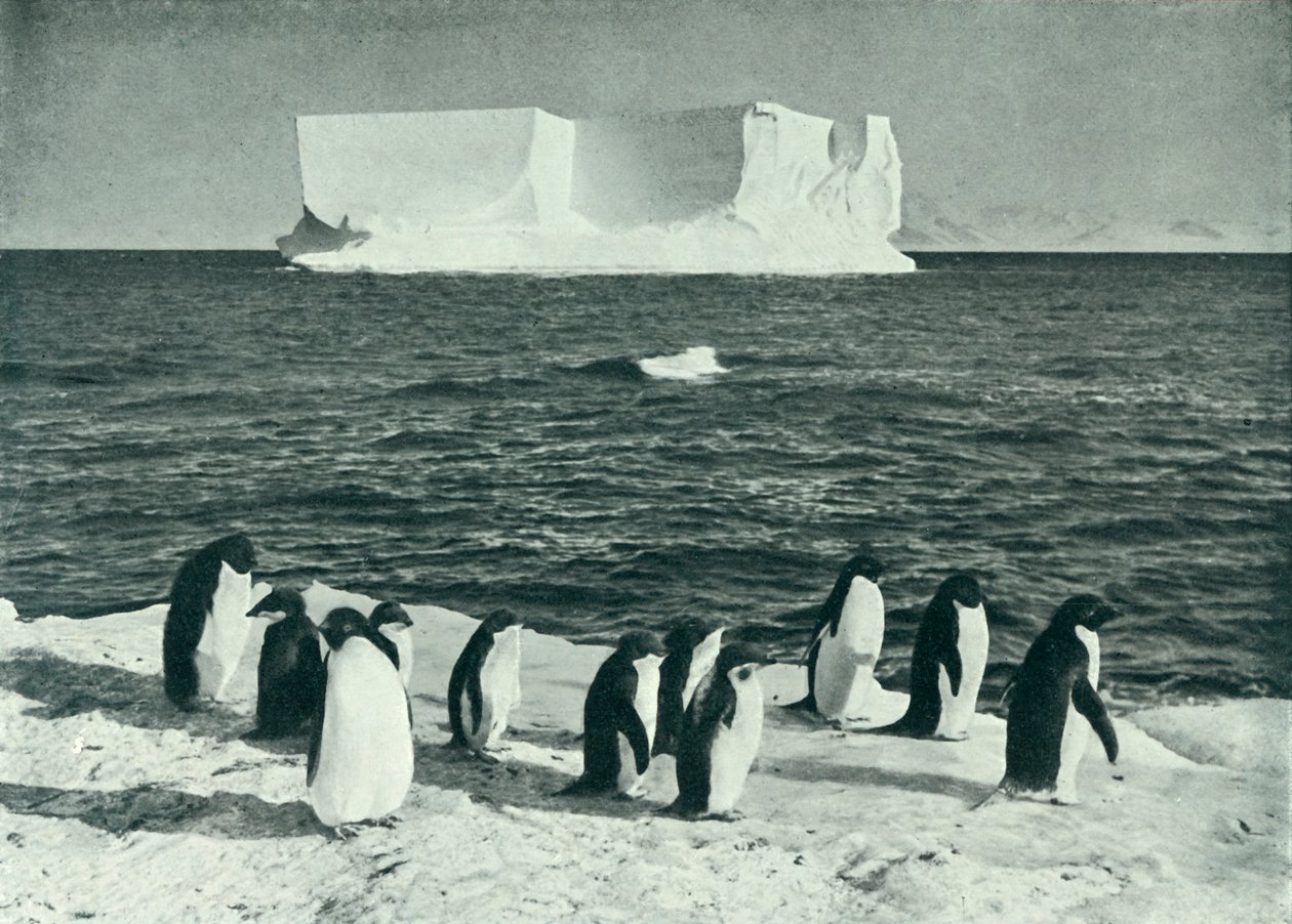 A Berg Drifting in McMurdo Sound, c19101913, 1913. af Herbert Ponting