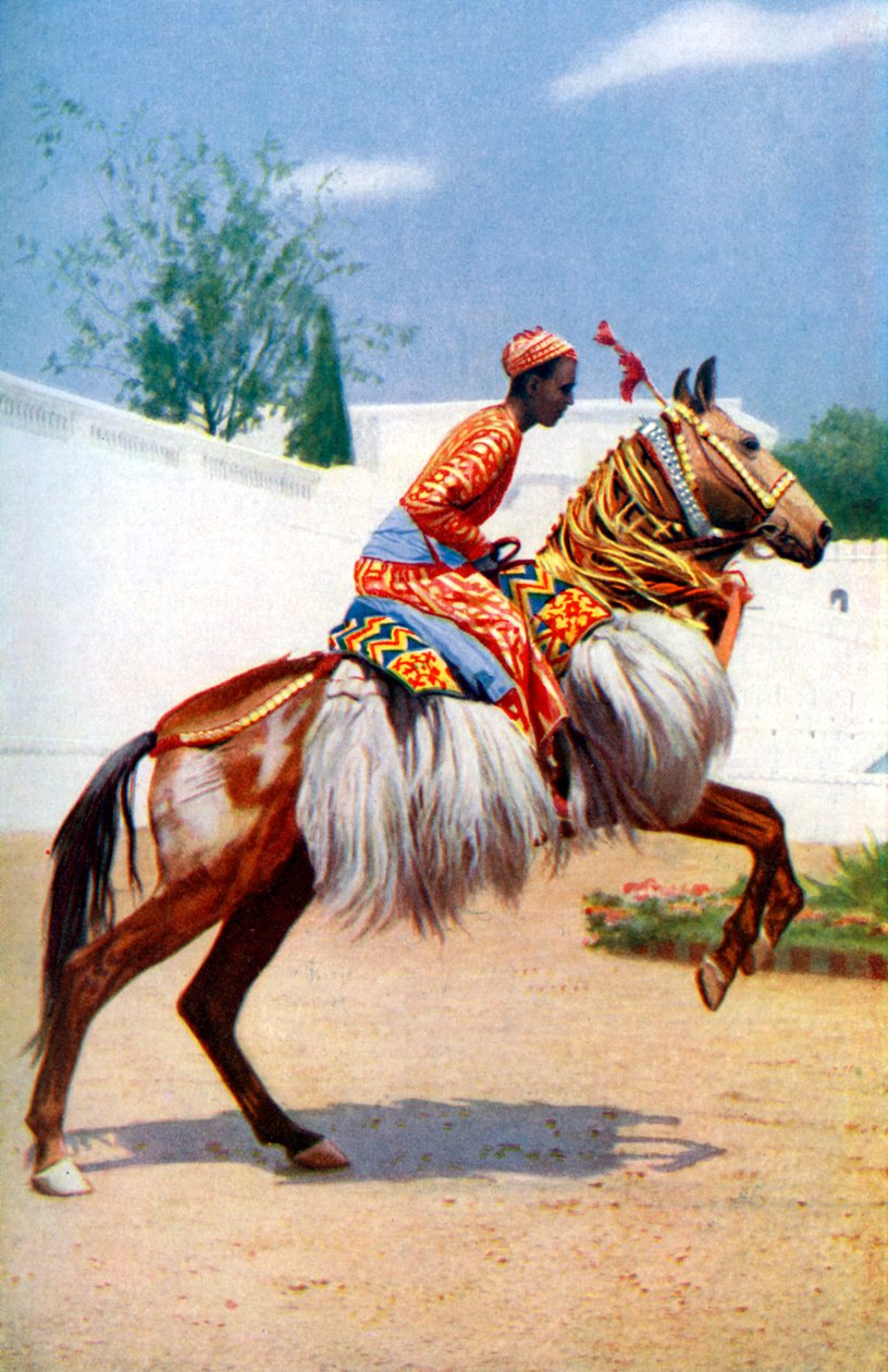 En arabisk dansende hest, Udaipur, Indien, 1922. af Herbert Ponting