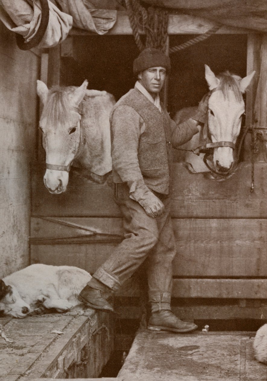 Kaptajn Oates og ponyer på Terra Nova, c1910-1912, 1913. af Herbert Ponting