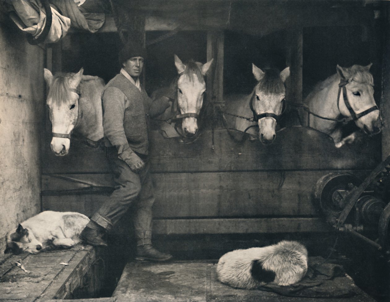 Kaptajn Oates, på Terra Nova med de sibiriske ponyer, c1911, 1914. af Herbert Ponting