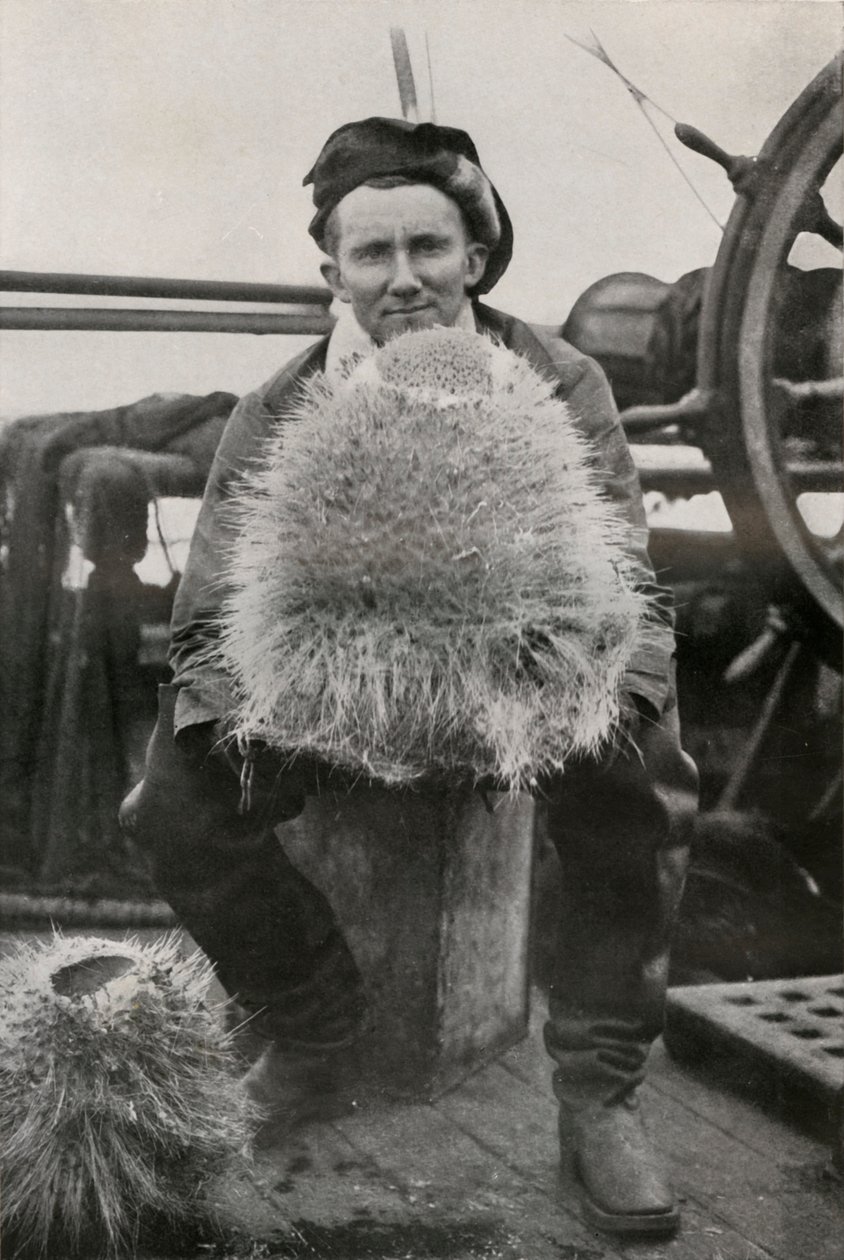 D. G. Lillie, med nogle af de siliciumholdige svampe, c1911, 1913 af Herbert Ponting