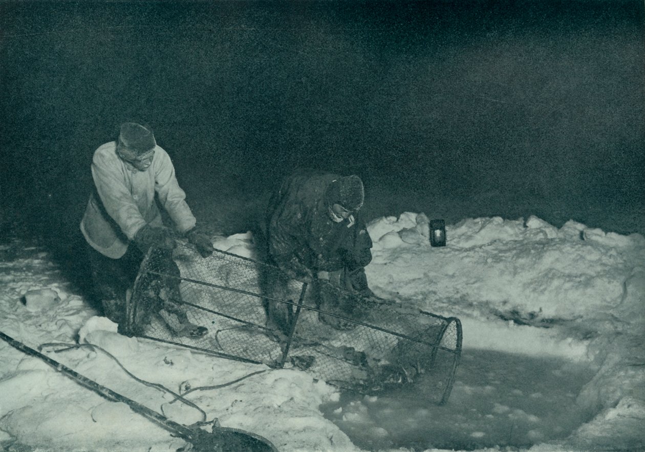 Dr. Atkinson og Clissold Hauling Up The Fish-Trap, 28. maj 1911, 1913 af Herbert Ponting