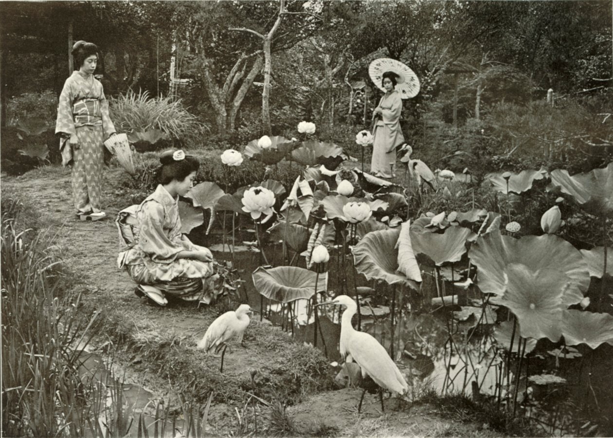 I Lotus-Land, 1910. af Herbert Ponting