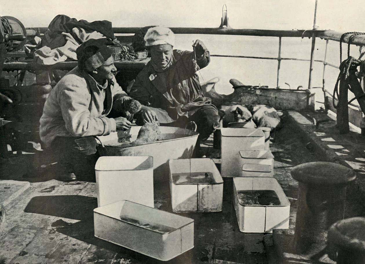 Lillie og Dr. Levick sorterer en trawlfangst, c19101913, 1913 af Herbert Ponting
