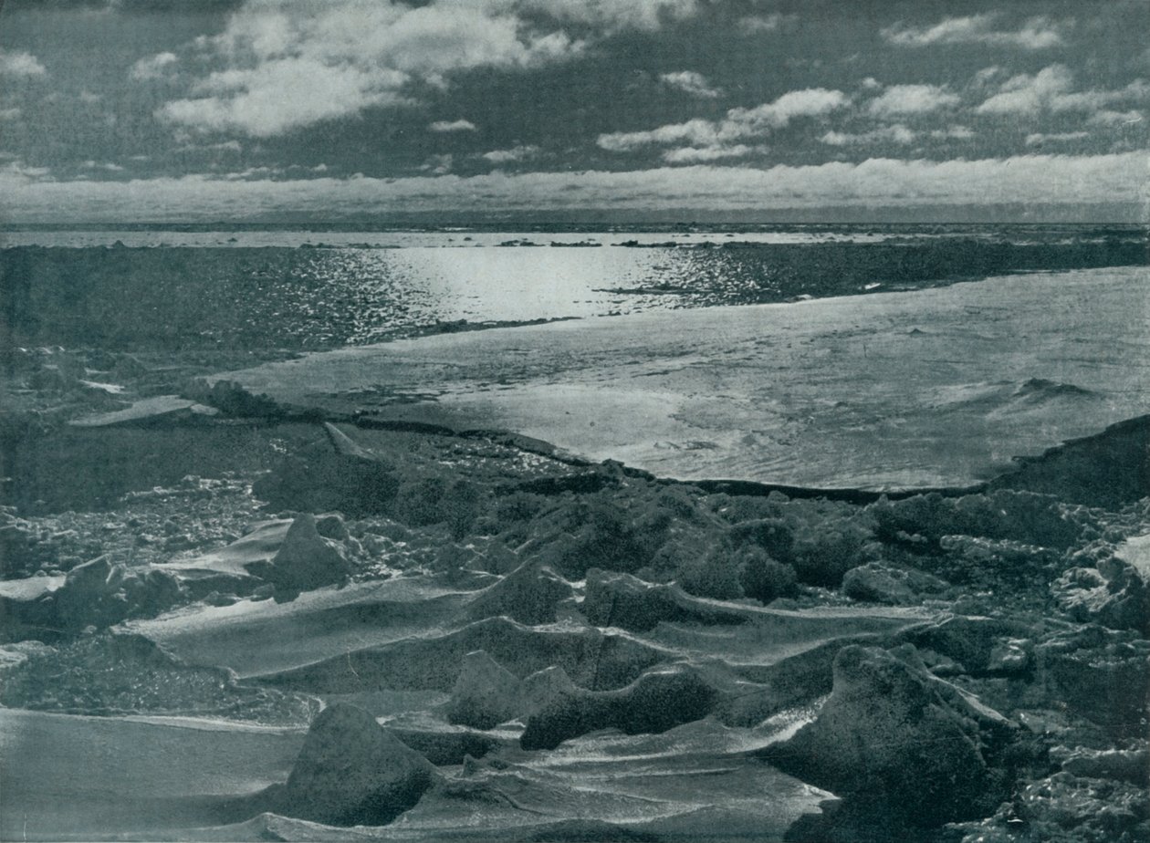 Moonlight in the Pack, c19101913, 1913 af Herbert Ponting