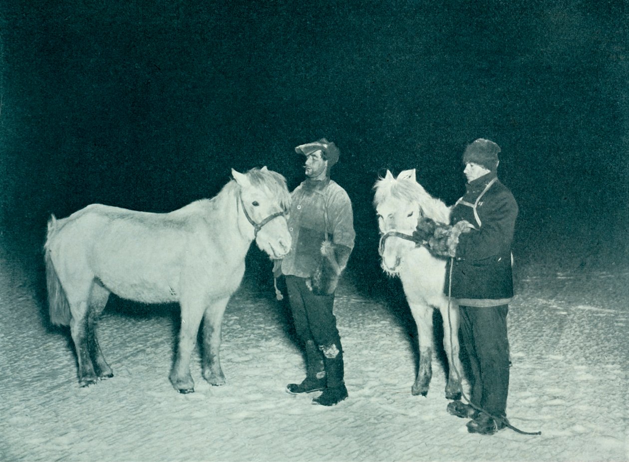 Underofficererne Crean og Evans træner deres ponyer om vinteren, 1911, 1913 af Herbert Ponting