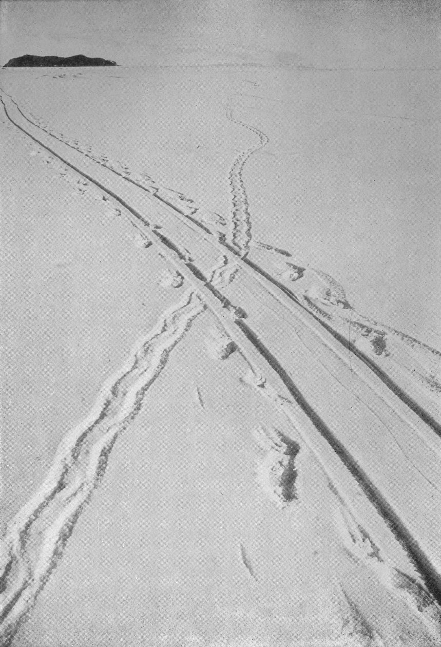 Sledge Track Crossing An Adélie Penguins Track, 8. december 1911, 1913 af Herbert Ponting