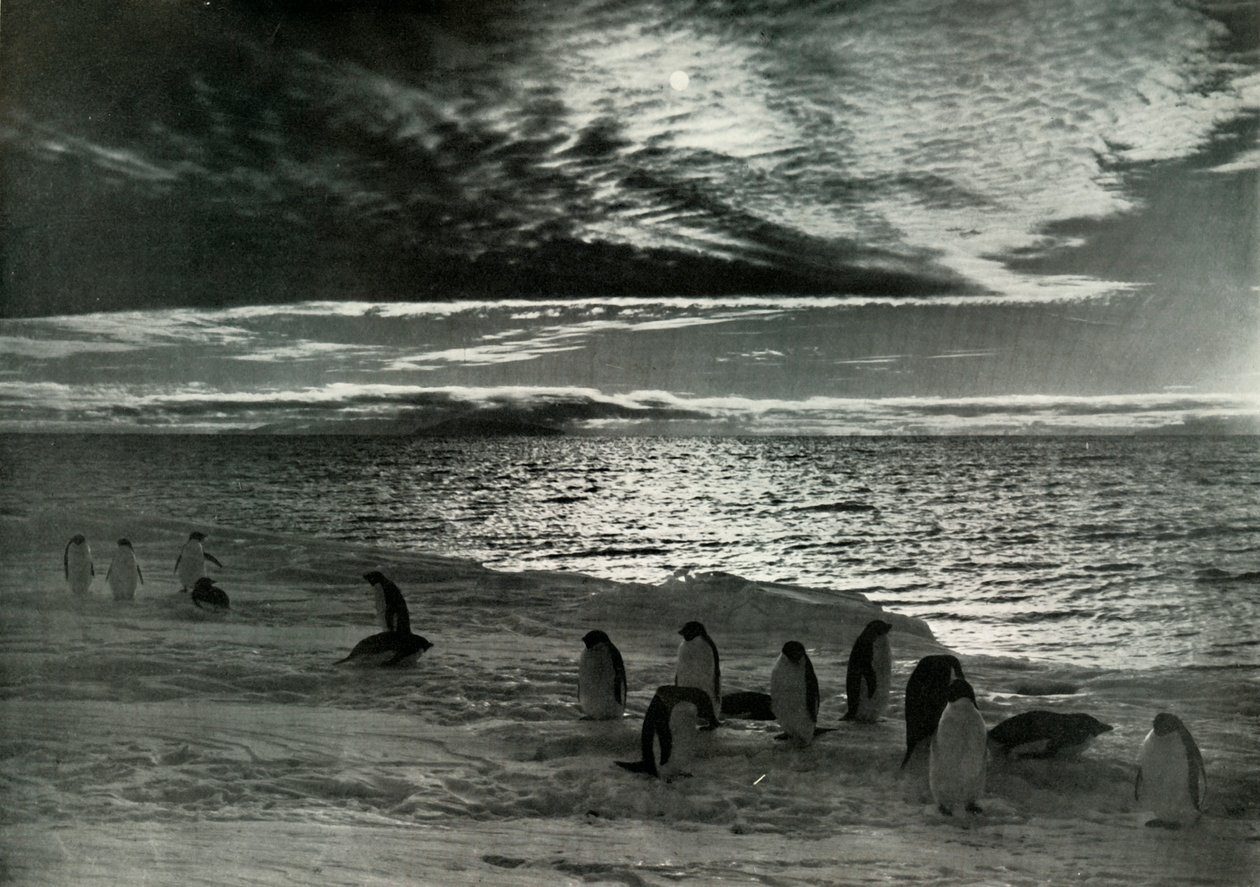Midnatssolen i McMurdo Sound, c19101913, 1913 af Herbert Ponting