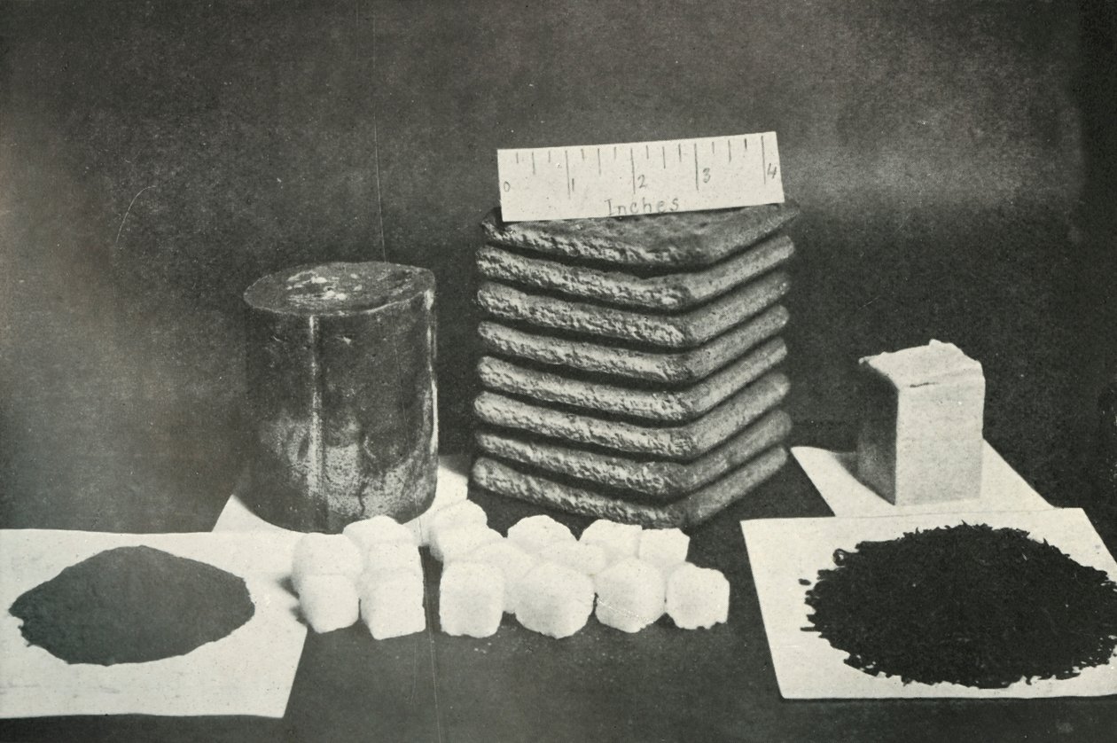 The Polar Partys Sledging Ration Pemmican, kiks, smør, kakao, sukker og te, 1911, 1913 af Herbert Ponting