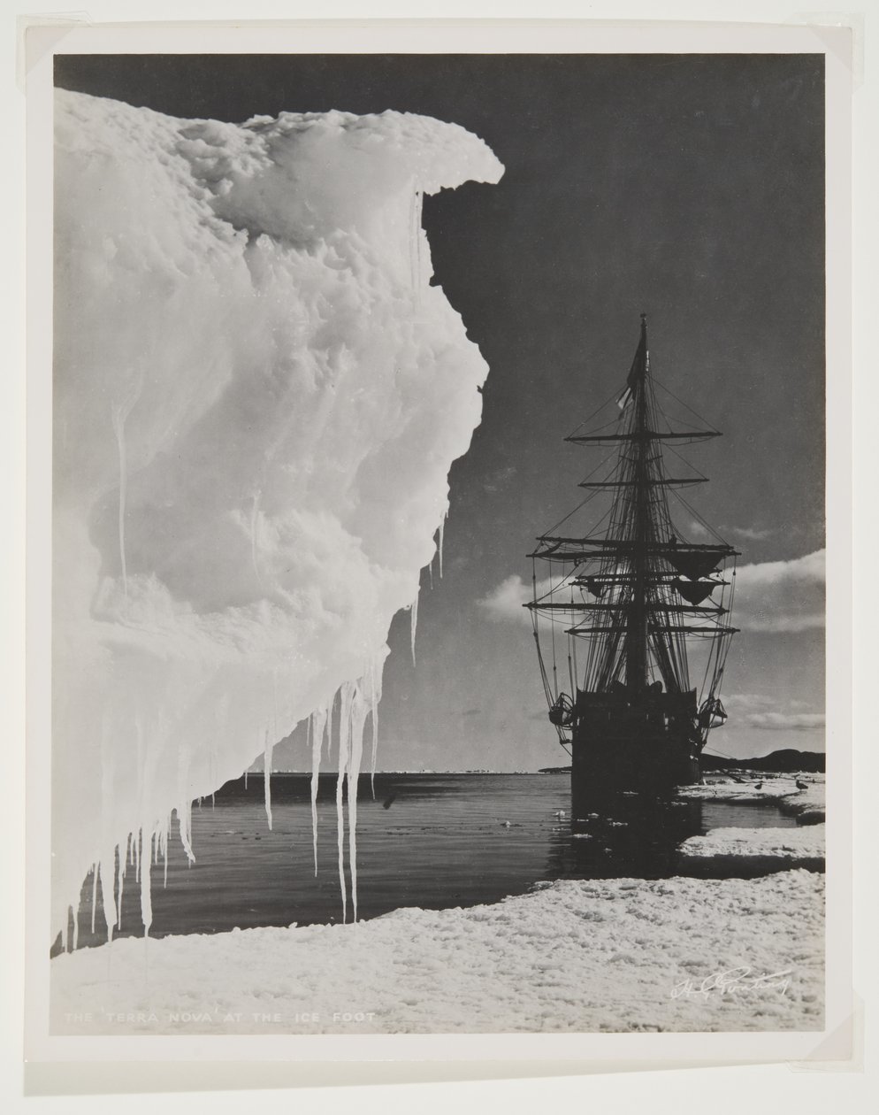 Terra Nova ved isfoden (bromidtryk) af Herbert Ponting