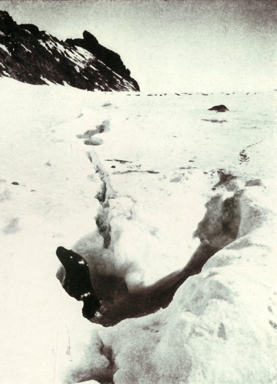 Tidevandet ved Razorback Island, 1911, 1913 af Herbert Ponting