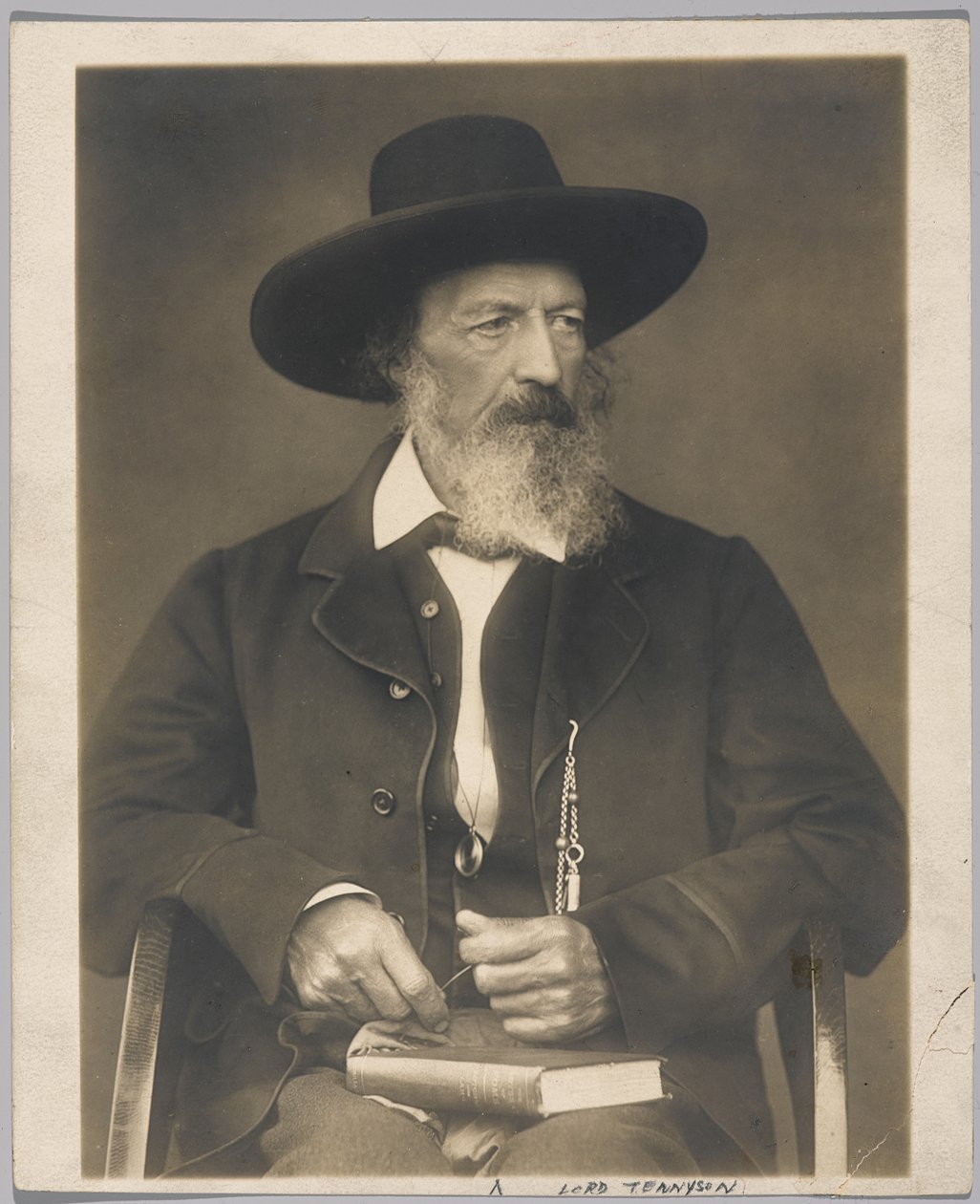 Lord Tennyson (foto af gelatinesølv) af Herbert Rose Barraud
