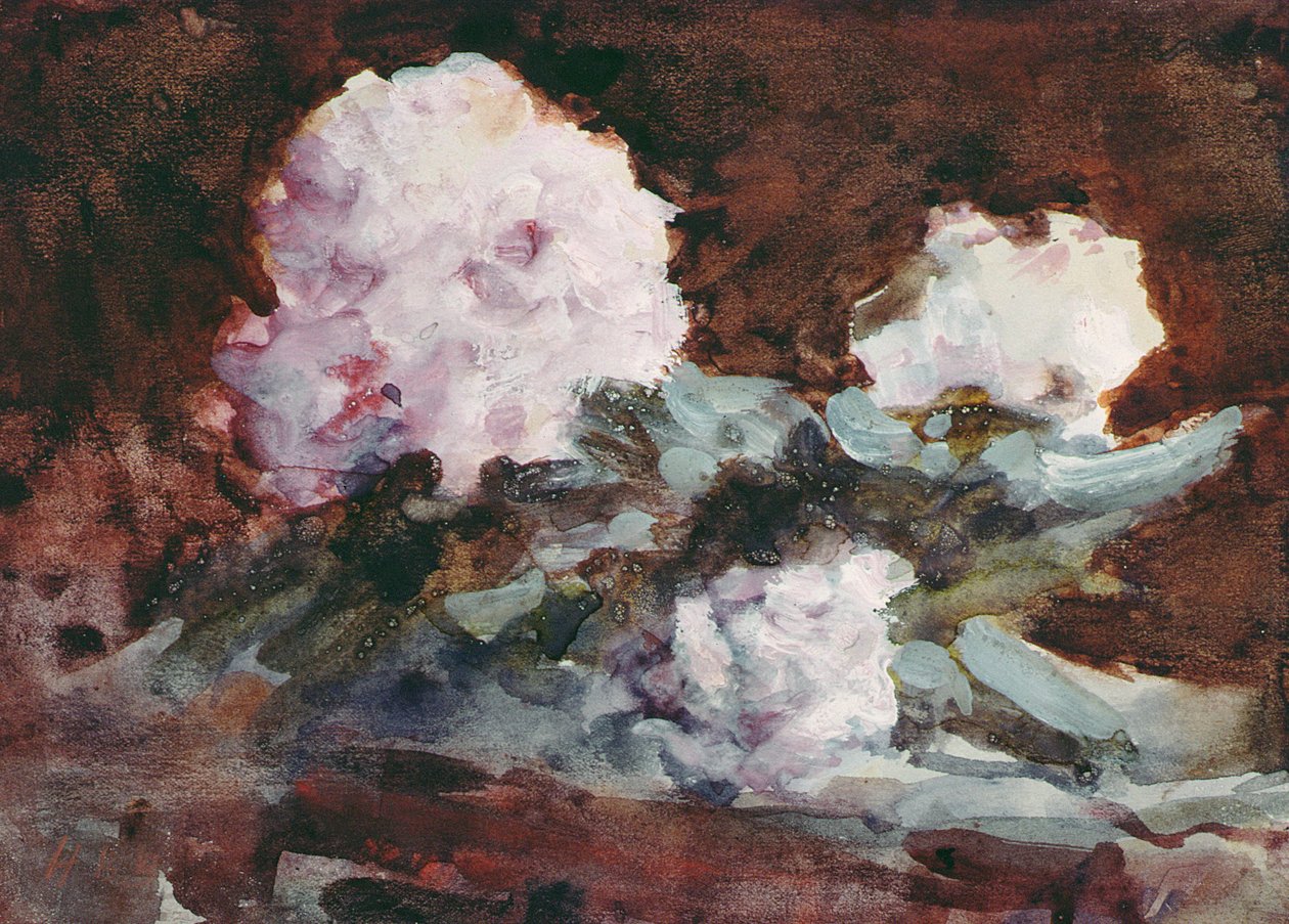 Rhododendron (akvarel) af Hercules Brabazon Brabazon