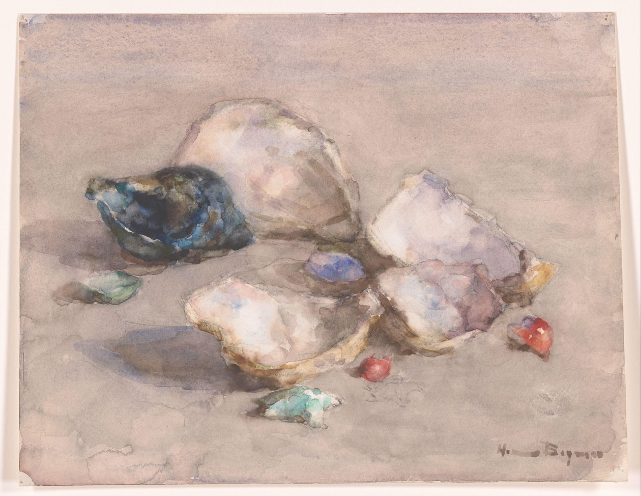 Skaller på stranden af Herman Bogman (signed by artist)