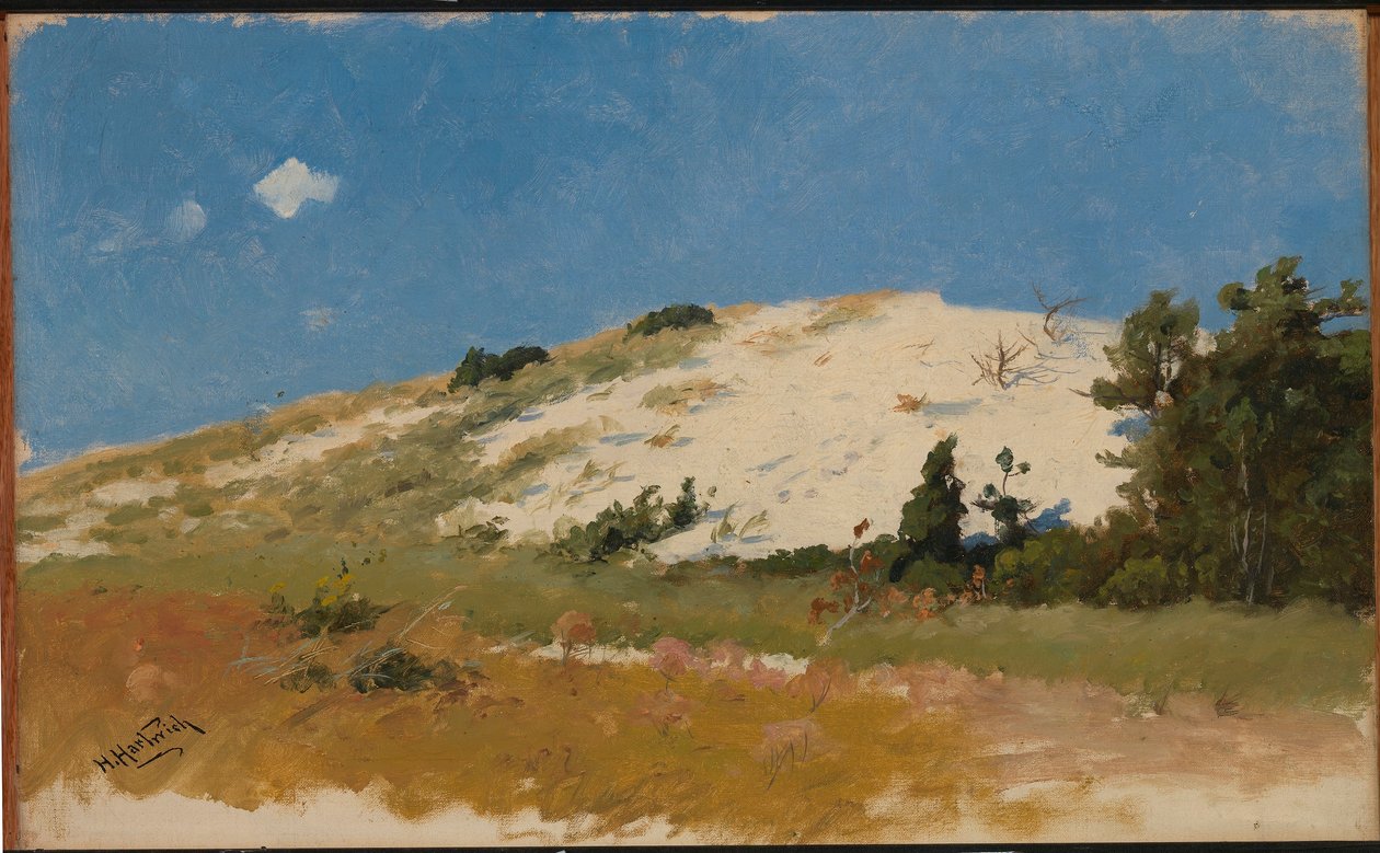 Cape Cod, sandklit af Herman Hartwich