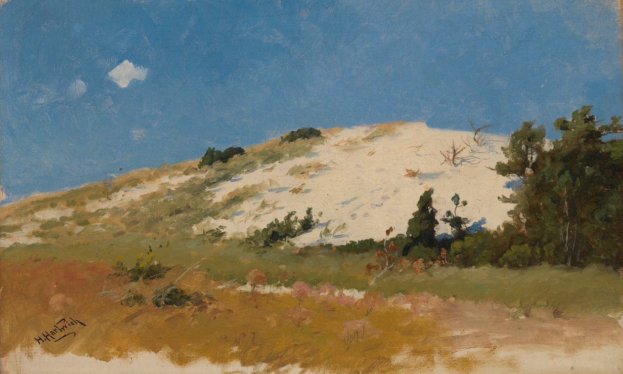 Cape Cod, sandklit, 1894. af Herman Hartwich