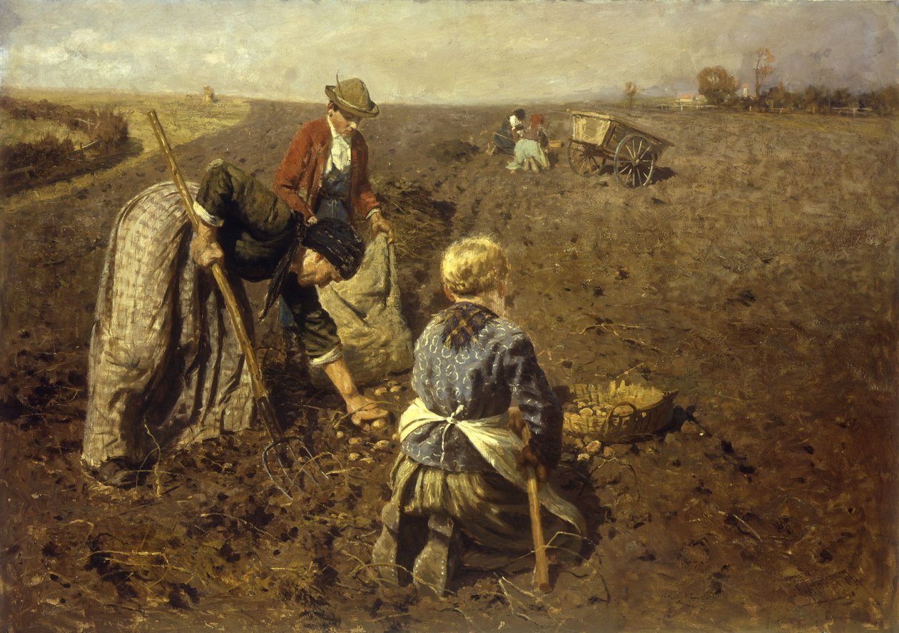 Kartoffelhøsten af Herman Hartwich