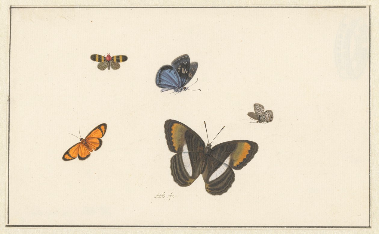 Fem sommerfugle (akvarel og gouache) af Herman Henstenburgh