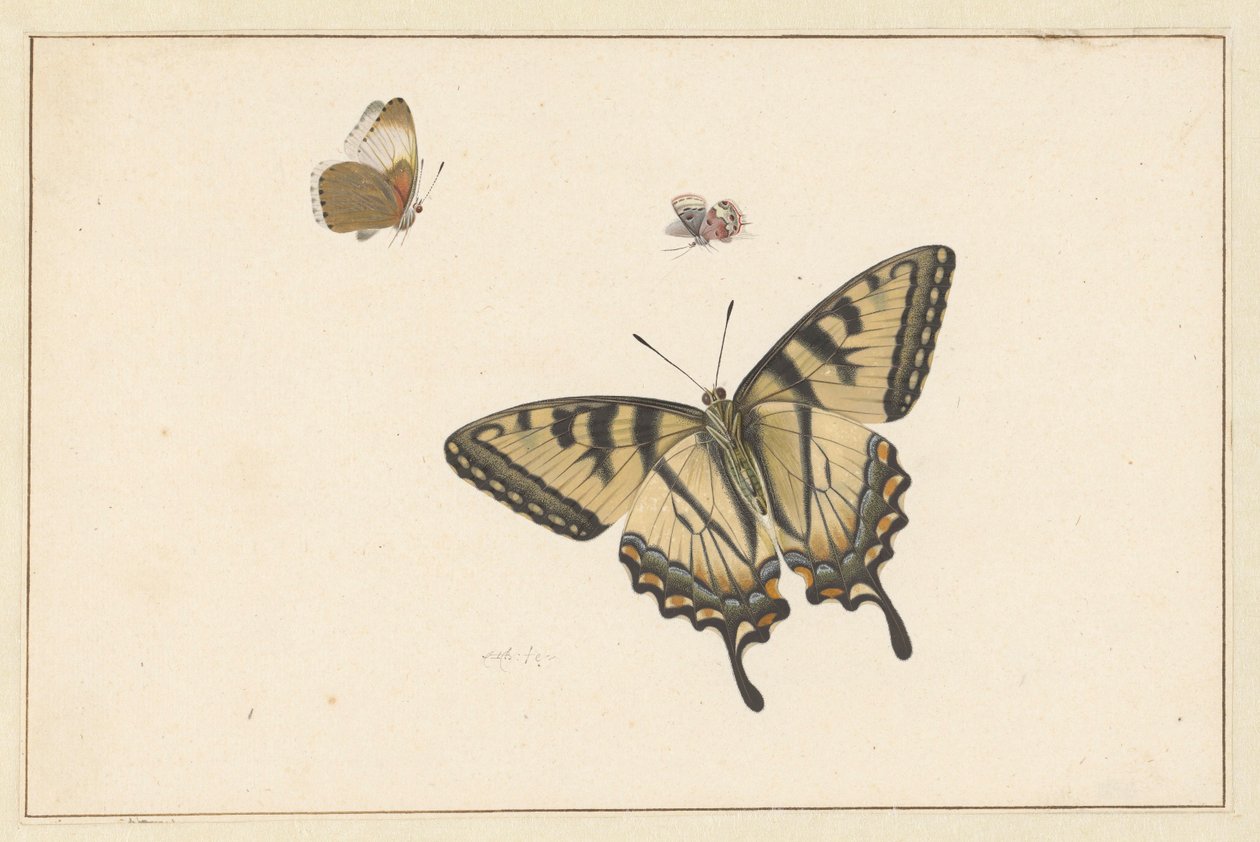 Tre sommerfugle af Herman Henstenburgh