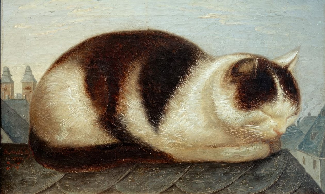 kat af Hermann Anschütz