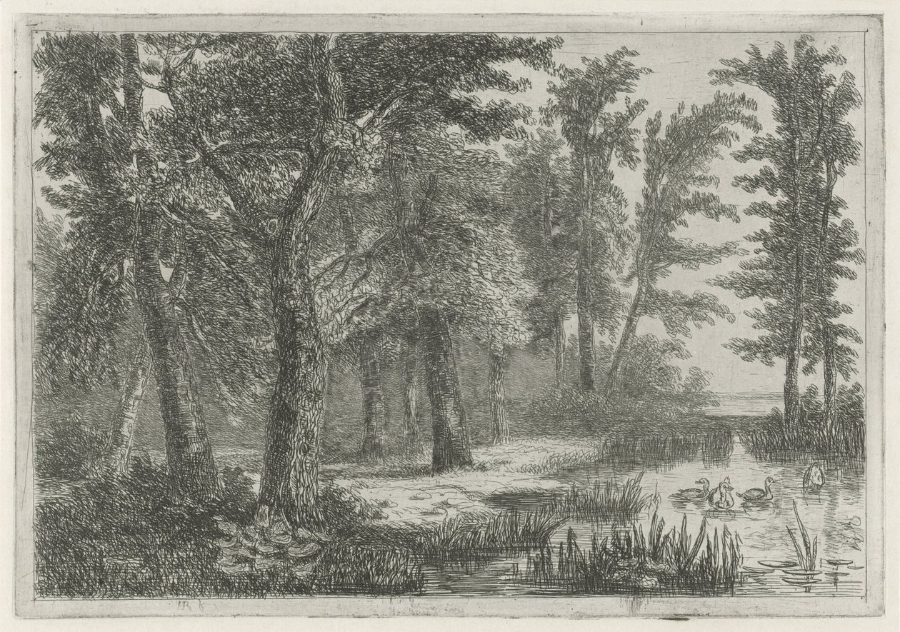 Skovudsigt med et fen med ænder af Hermanus Jan Hendrik van Rijkelijkhuysen