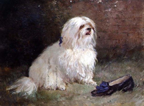 En maltesisk terrier af Heywood Hardy