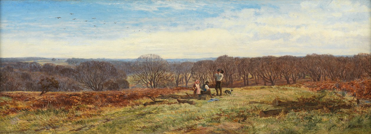I New Forest, Hampshire af Heywood Hardy