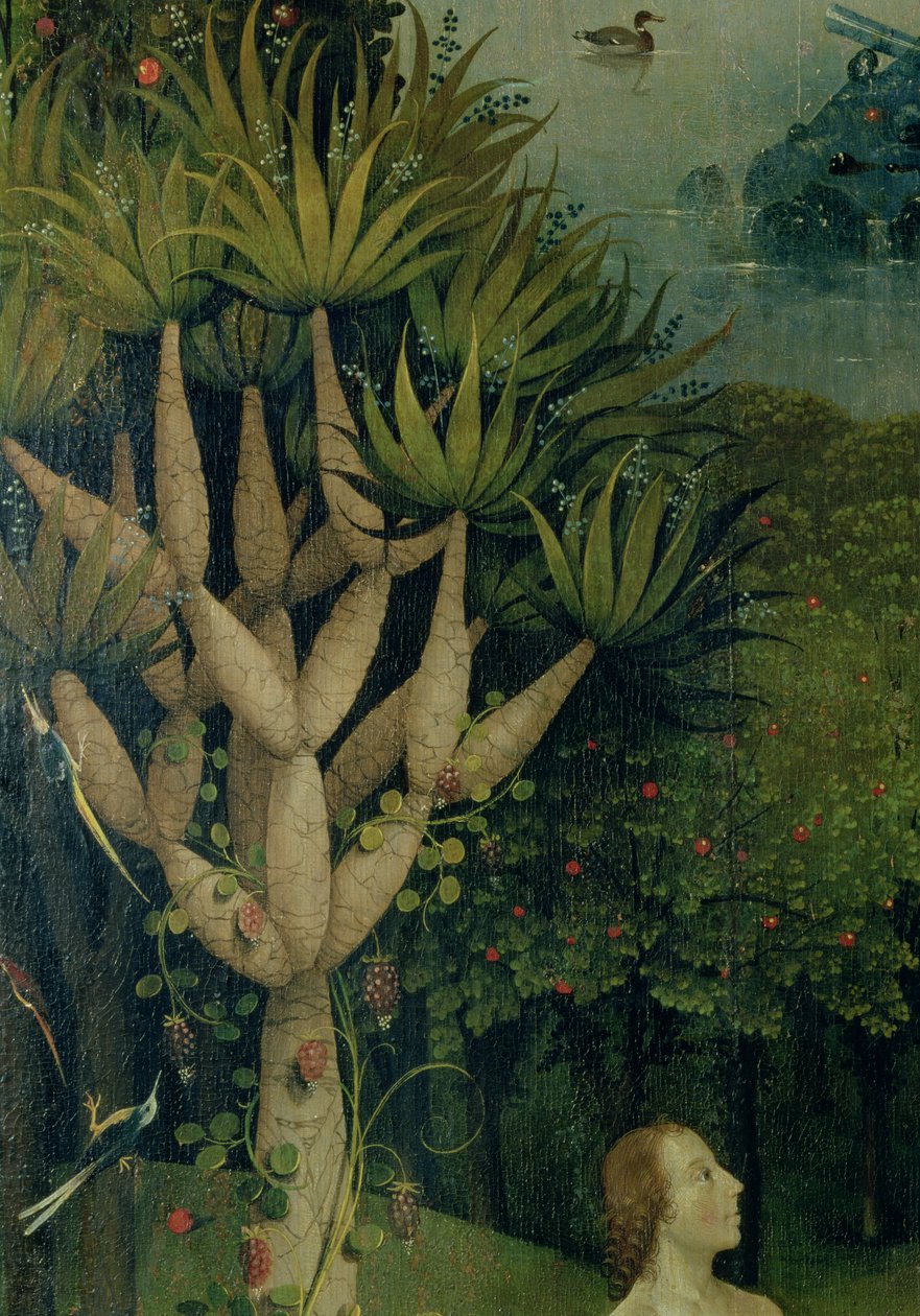 Træet til viden om godt og ondt, detaljer fra højre panel af The Garden of Earthly Delights, ca. 1500 af Hieronymus Bosch