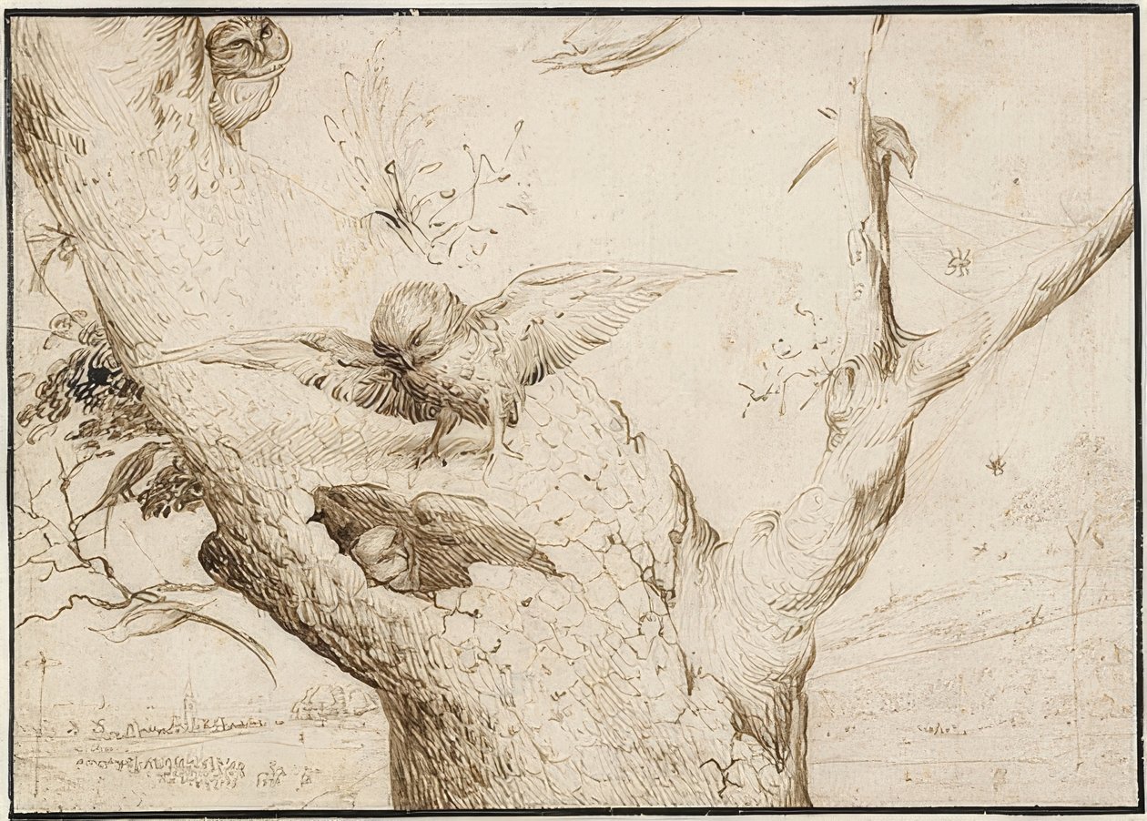 Eulennest. A 1505-10 af Hieronymus Bosch
