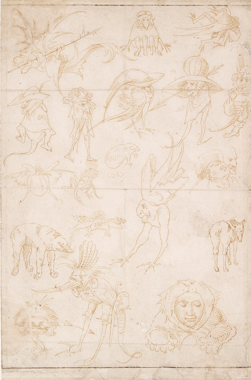 Groteske Studier, c1500-1520 af Hieronymus Bosch