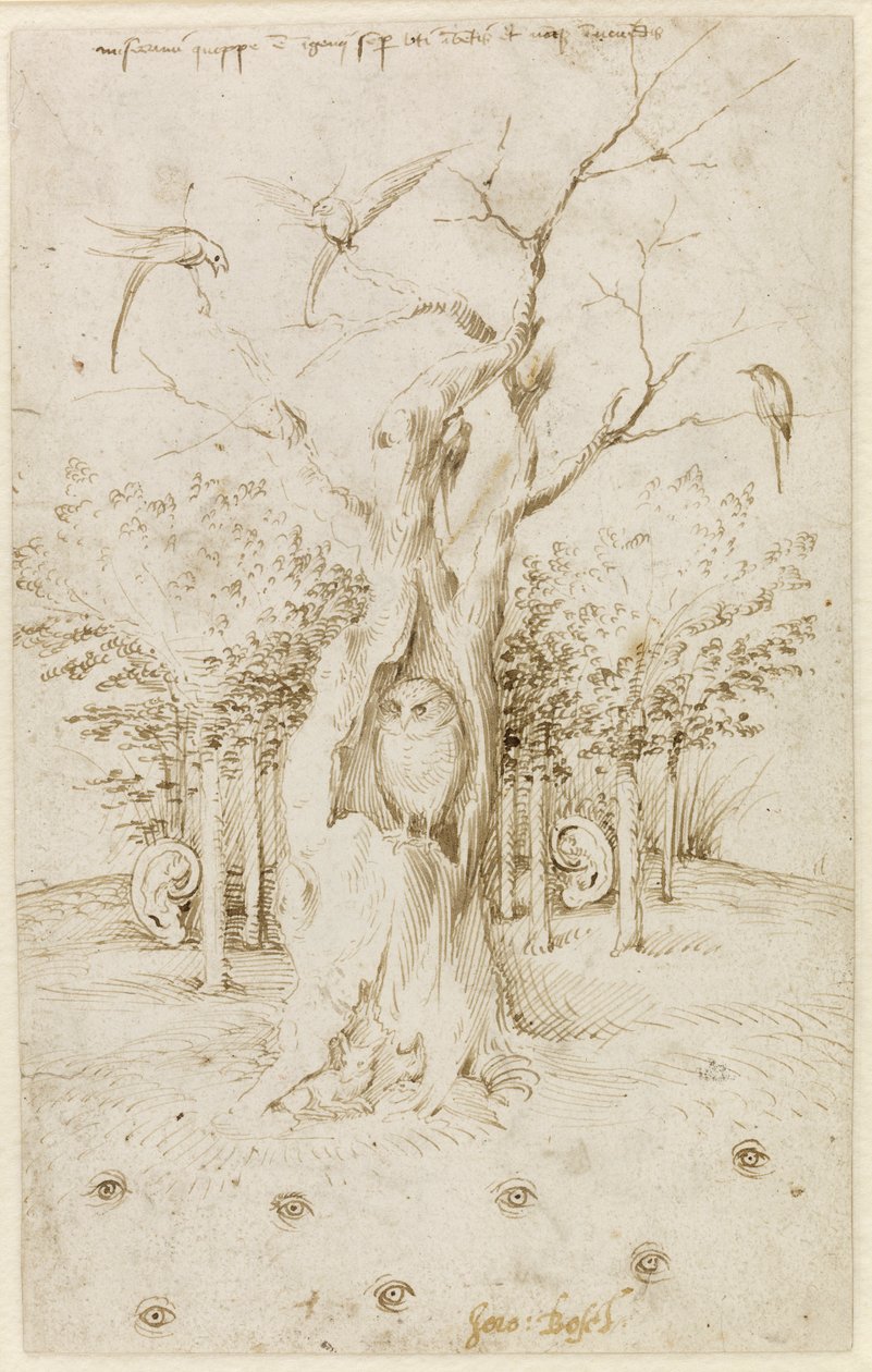 Træet har ører, marken har øjne par Bosch, Hieronymus (ca. 1450-1516). Pen, brunt indisk blæk på papir, størrelse: 20,2x12,7, ca. 1500-1515, Staatliche Museen, Berlin af Hieronymus Bosch