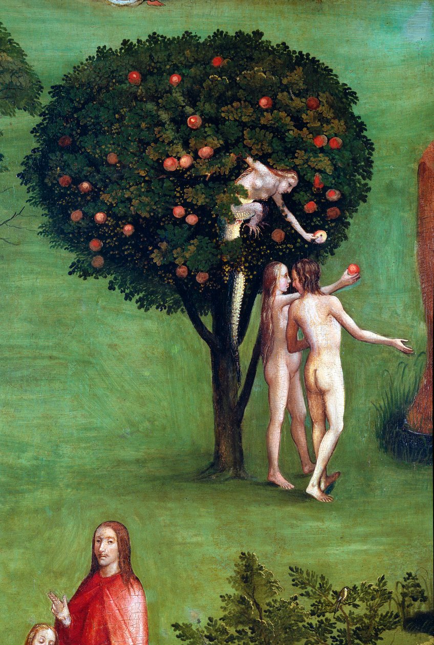 Tryptic of the Last Judgement, venstre panel. Adam og Eva i paradis, detalje (maleri på træ, ca. 1504) af Hieronymus Bosch