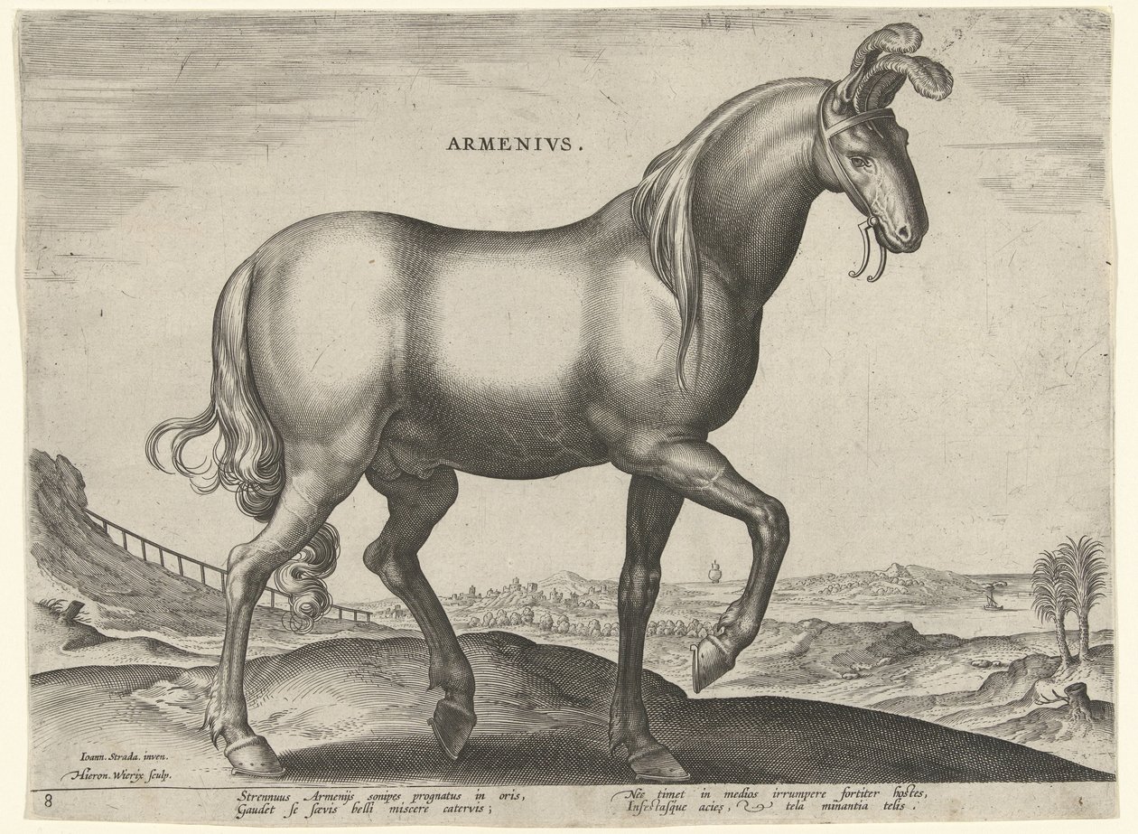 Hest fra Armenien (Armenius) Armeniere (titel på objekt) Hesteracer fra de kongelige stalde i Don Juan af Østrig (serietitel) Equile Ioannis Austriaci Caroli (serietitel) af Hieronymus Wierix