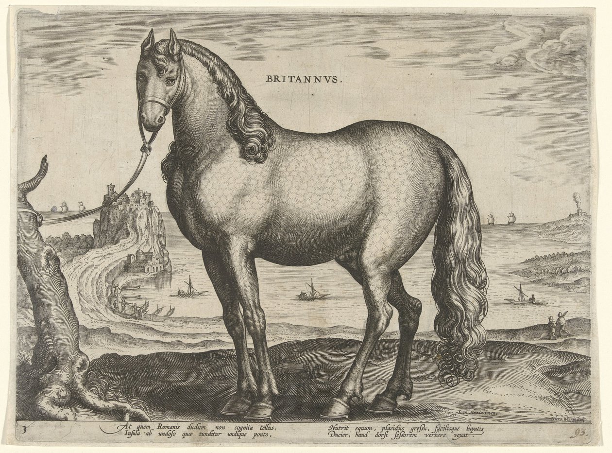 Hest fra Bretagne (Brittanus) Britannvs (titel på objekt) Hesteracer fra de kongelige stalde i Don Juan af Østrig (serietitel) Equile Ioannis Austriaci Caroli (serietitel) af Hieronymus Wierix