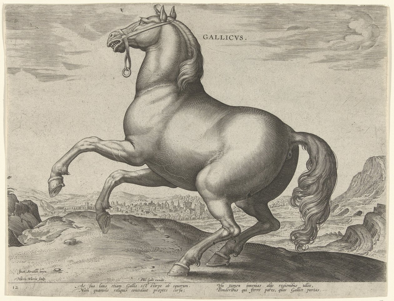 Hest fra Frankrig (Gallicus) Gallicvs (titel på objekt) Hesteracer fra de kongelige stalde i Don Juan af Østrig (serietitel) Equile Ioannis Austriaci Caroli (serietitel) af Hieronymus Wierix