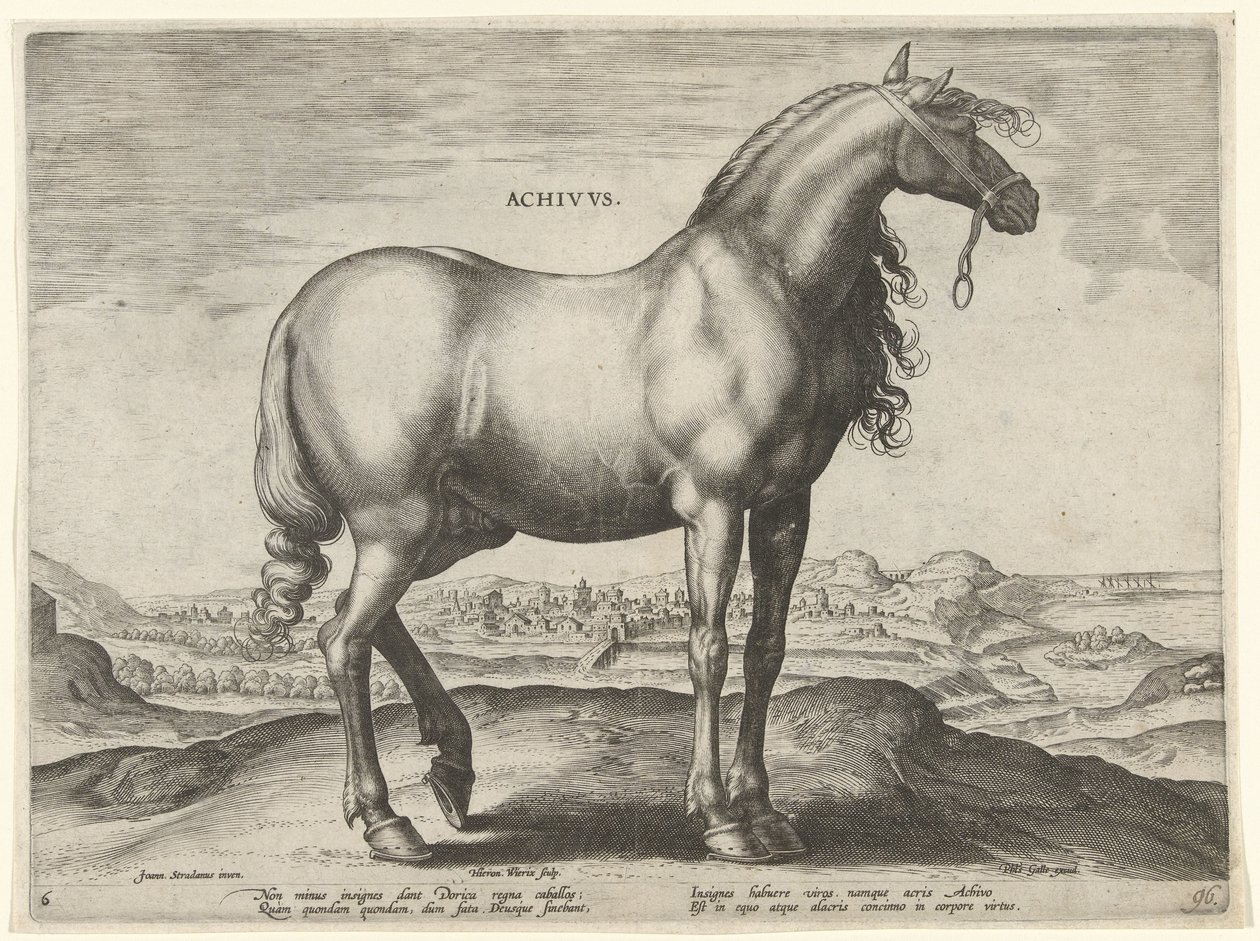 Hest fra Grækenland (Achivus) Achivvs (titel på objekt) Hesteracer fra de kongelige stalde i Don Juan af Østrig (serietitel) Equile Ioannis Austriaci Caroli (serietitel) af Hieronymus Wierix
