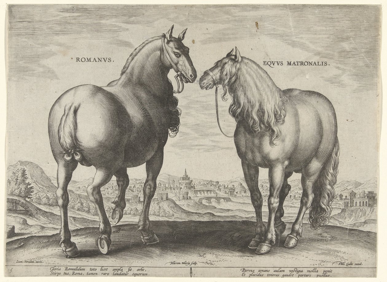Hest fra Rom og en surrogathoppe Romanvs Eqvvs Matronalis (titel på objekt) Hesteracer fra de kongelige stalde i Don Juan af Østrig (serietitel) Equile Ioannis Austriaci Caroli (serietitel) af Hieronymus Wierix