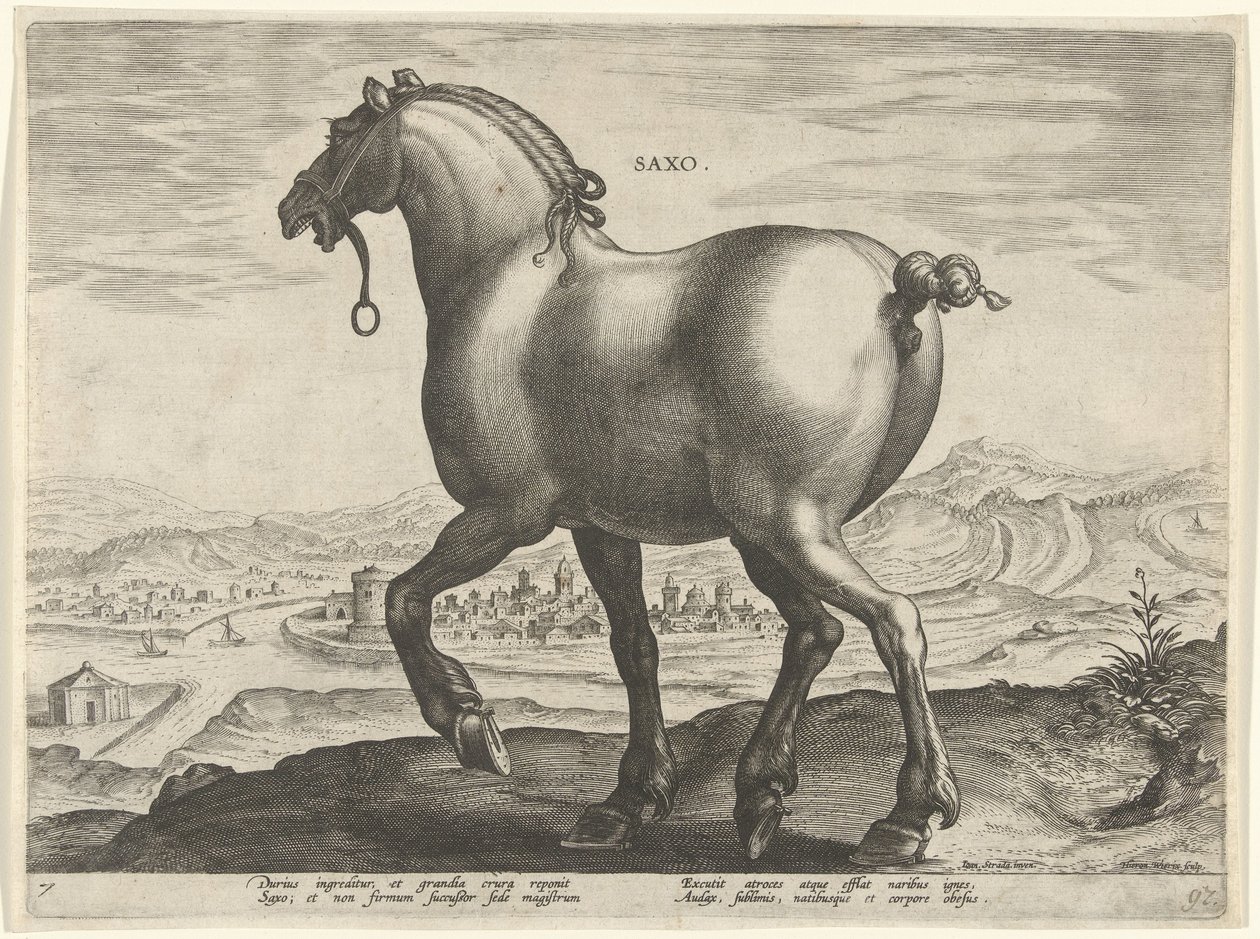 Hest fra Sachsen Saxo (titel på objekt) Hesteracer fra de kongelige stalde i Don Juan af Østrig (serietitel) Equile Ioannis Austriaci Caroli (serietitel) af Hieronymus Wierix