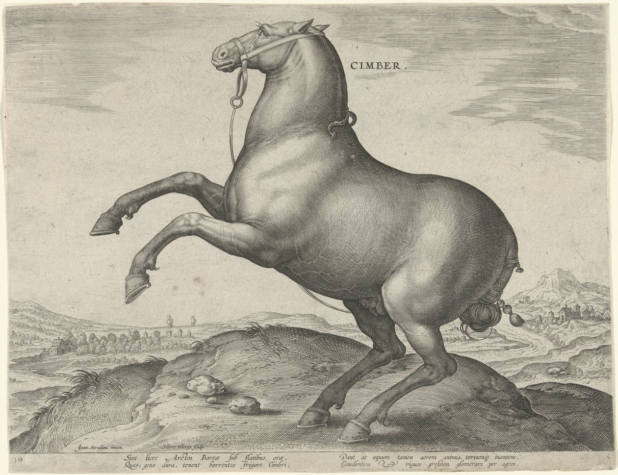 Hest fra Scythia Cimber (titel på objekt) Hesteracer fra de kongelige stalde i Don Juan af Østrig (serietitel) Equile Ioannis Austriaci Caroli (serietitel) af Hieronymus Wierix