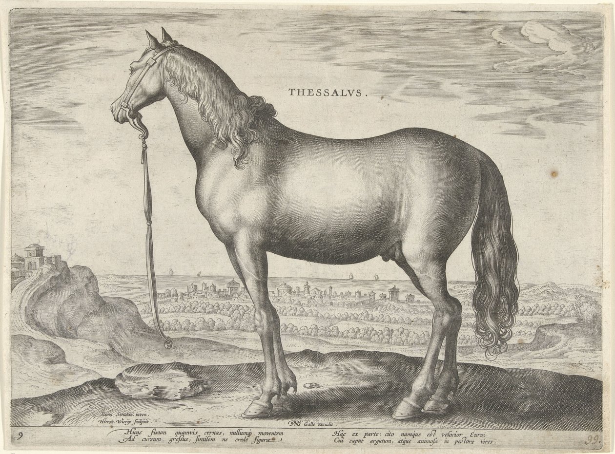Hest fra Thessaly (Thessalos) Thessaloniki (titel på objekt) Hesteracer fra de kongelige stalde i Don Juan af Østrig (serietitel) Equile Ioannis Austriaci Caroli (serietitel) af Hieronymus Wierix