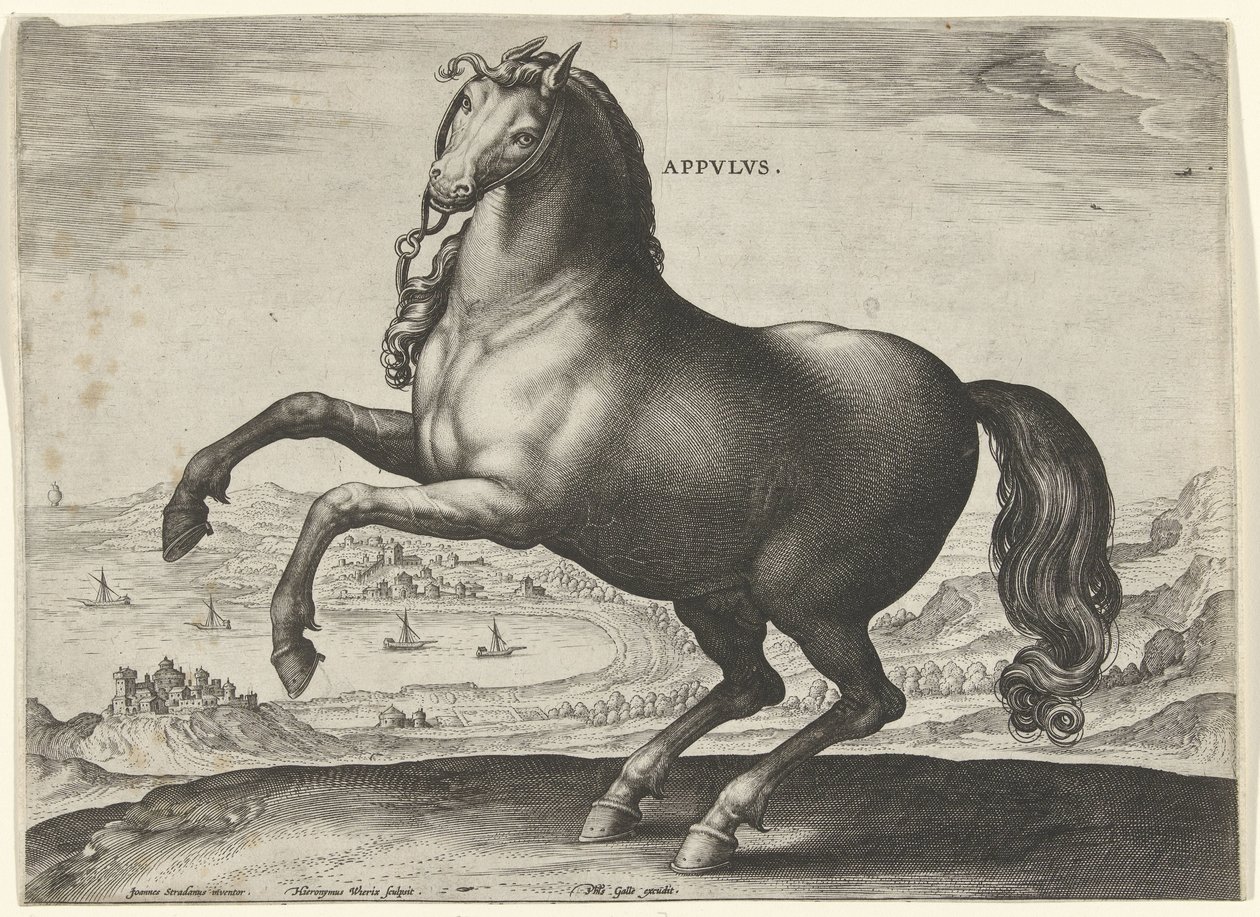 Hest fra Syditalien (Appulus) Appvlvs (titel på objekt) Hesteracer fra de kongelige stalde i Don Juan af Østrig (serietitel) Equile Ioannis Austriaci Caroli (serietitel) af Hieronymus Wierix