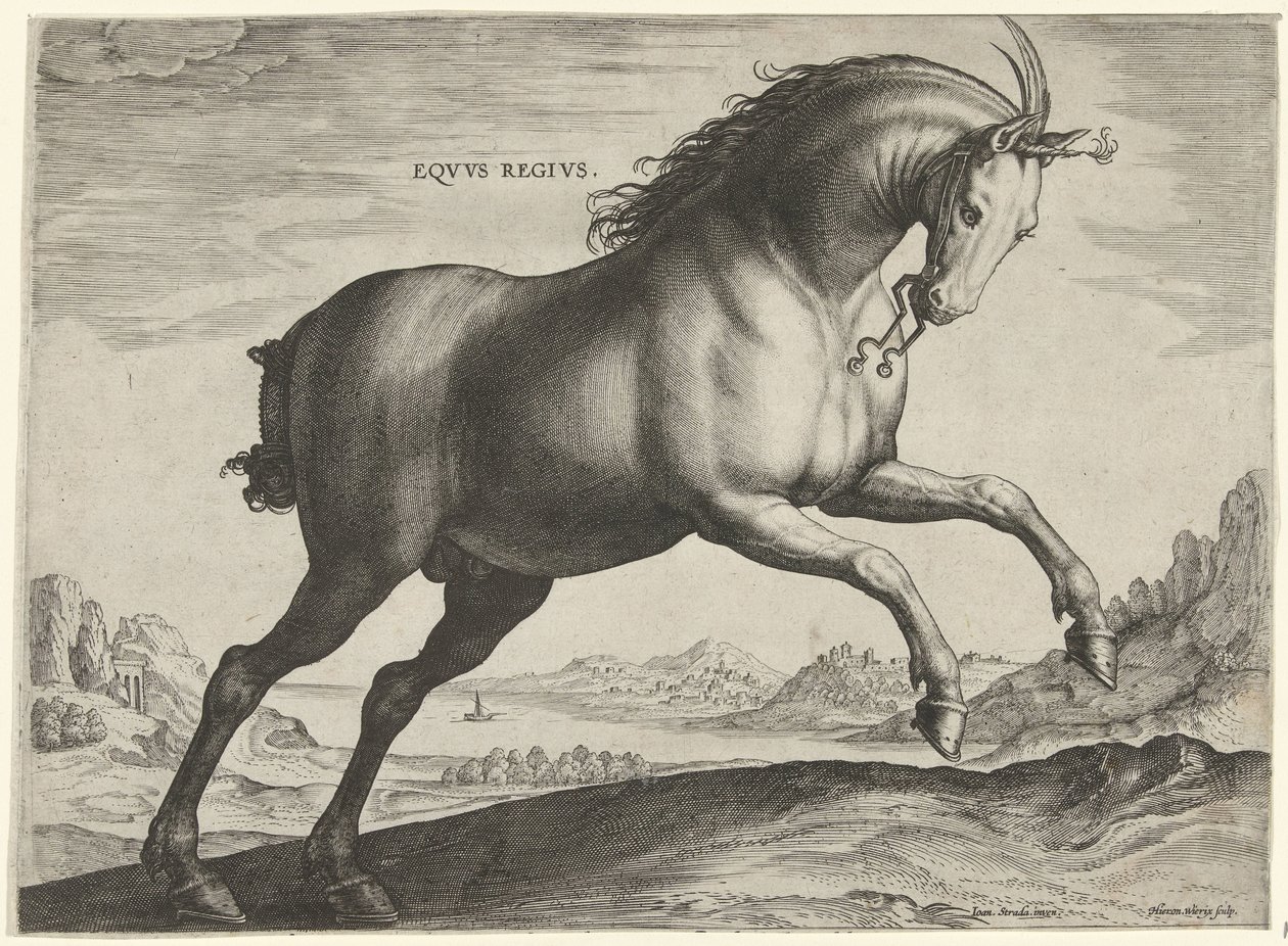Hest af racen Equus Regius (den kgl.) Eqvvs Regivs (titel på objekt) Hesteracer fra de kongelige stalde i Don Juan af Østrig (serietitel) Equile Ioannis Austriaci Caroli (serietitel) af Hieronymus Wierix