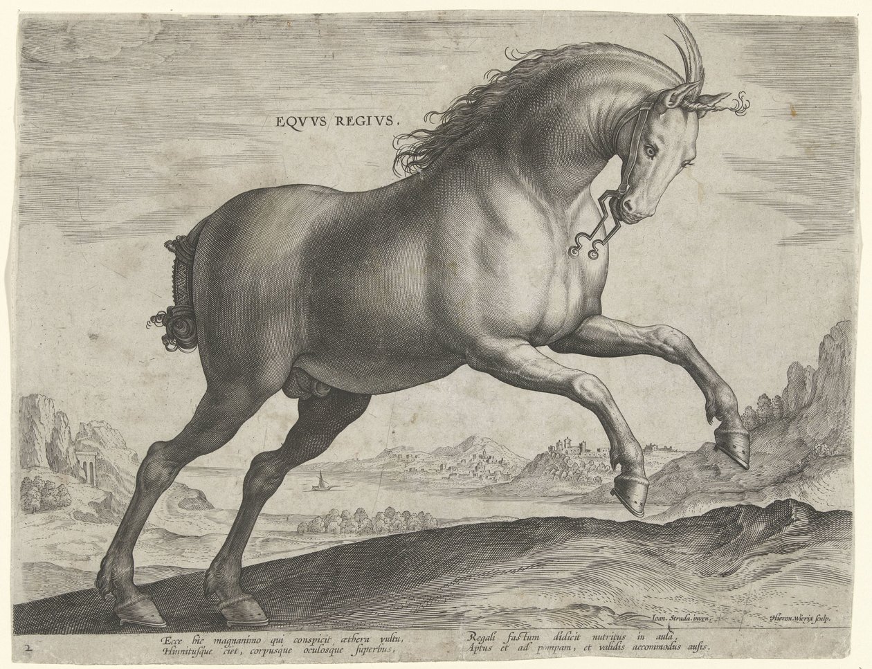 Hest af racen Equus Regius (den kgl.) Eqvvs Regivs (titel på objekt) Hesteracer fra de kongelige stalde i Don Juan af Østrig (serietitel) Equile Ioannis Austriaci Caroli (serietitel) af Hieronymus Wierix