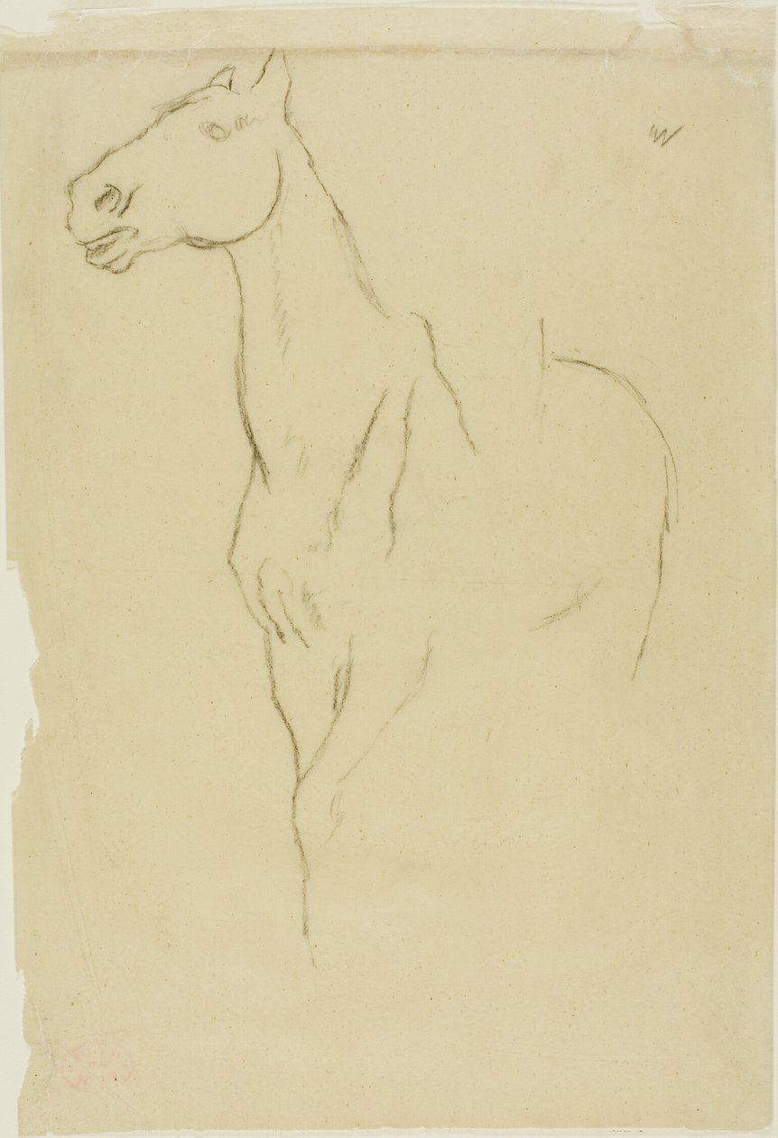 Hest drejet trekvart af Hilaire Germain Edgar Degas