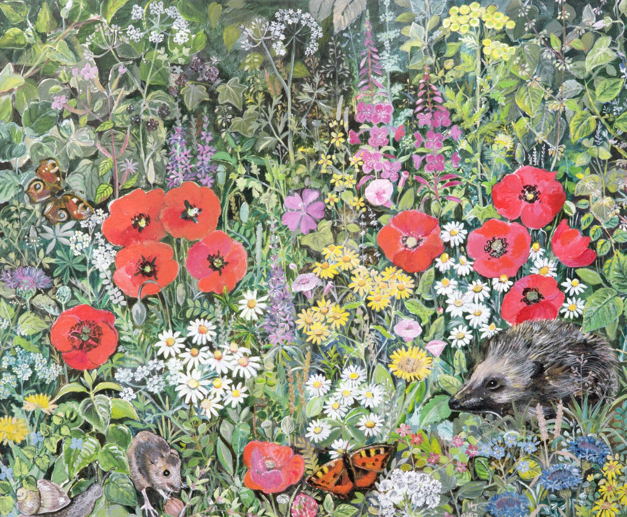 Pindsvin blandt blomsterne af Hilary Jones