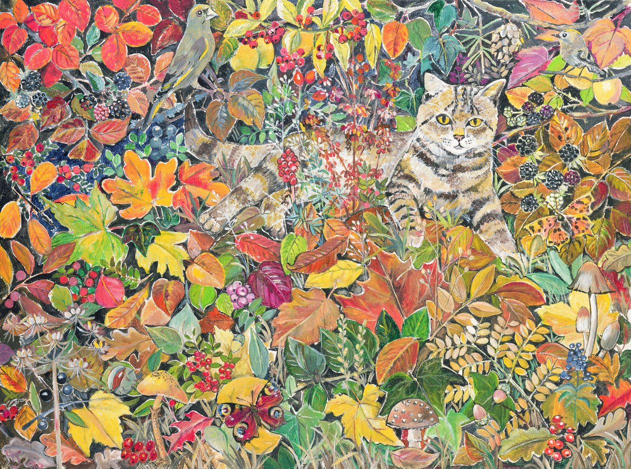 Tabby i efteråret, 1996 af Hilary Jones