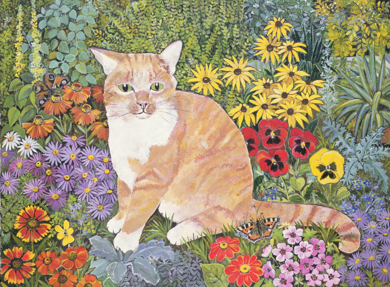 Tømrernes kat af Hilary Jones