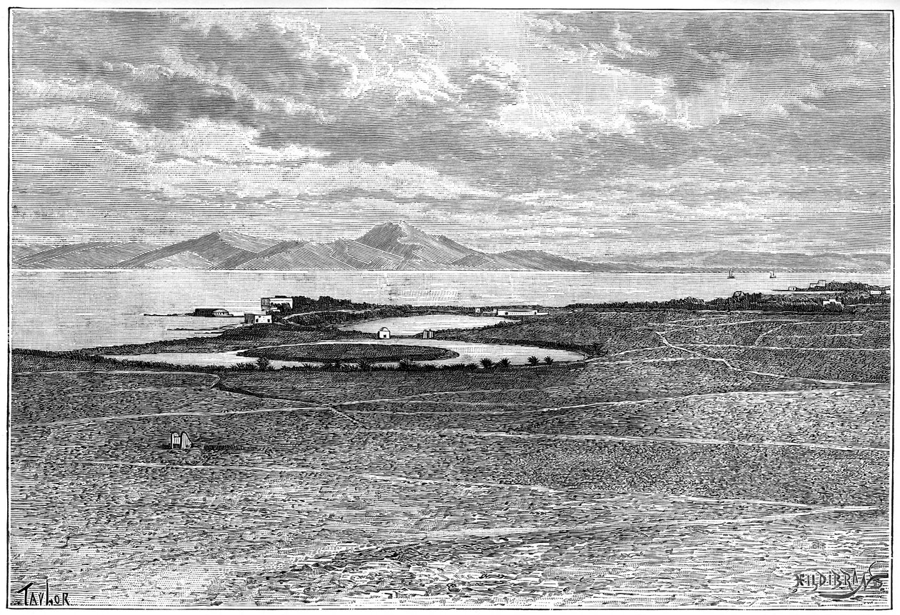 Gamle havne i Kartago, Tunesien, c1890 af Hildibrand